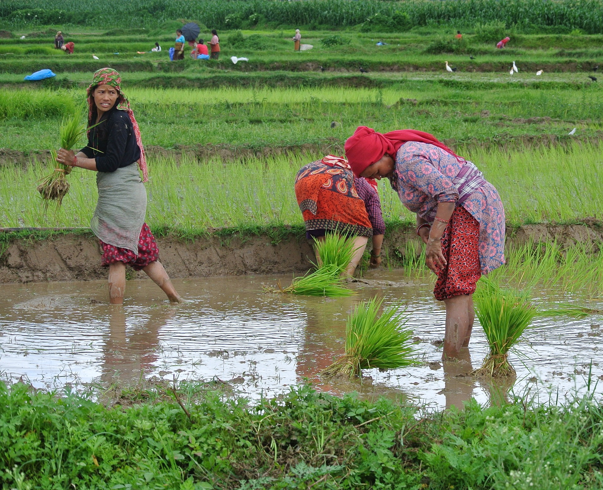 The Islands where women make the rules